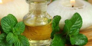 Mentha Piperita Oil