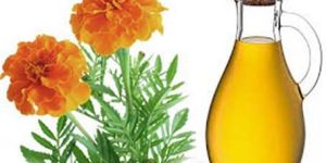 Tagete Oil