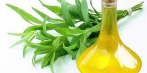Tarragon Oil