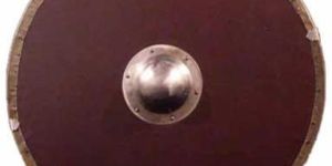 Viking Shield