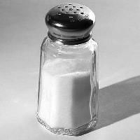 Salt Shaker