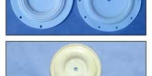 PTFE Diaphragm