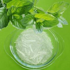 Menthol Crystal-773158