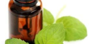 Peppermint Oil BP/USP