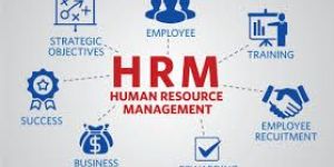 PG Diploma in Human Resource Management