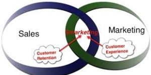 PG Diploma in Sales & Marketing