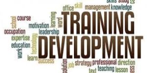 PG Diploma in Training & Development