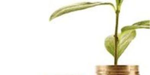 PG Diploma in Investment Management