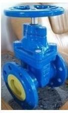 Resilient Seated Gate Valve