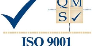 ISO 9001-QMS Consultant