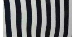 Black and White Stripe Fabric