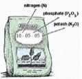 NPK Fertilizer