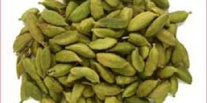 Cardamom