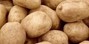 Potatoes