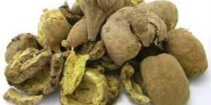 Beleric Myrobalan Natural Seeds