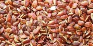 African Mango Seeds