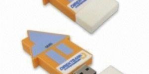 House Shape Flash Drive