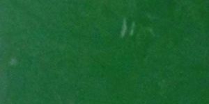 Tea Tree, Lemon Grass, Aloe Vera