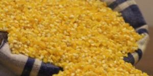 Maize Fine Grits