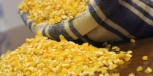 Maize Medium Grits