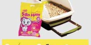 Clumping Cat Litter (San Him)