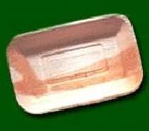 Disposable Leaf Tray