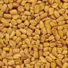 Fenugreek Seed