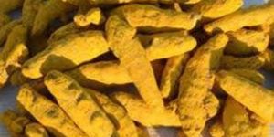 Turmeric Finger