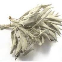 Sage Dried Leaves