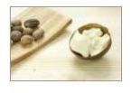 Shea Butter