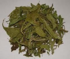 Stevia Dried Leaves & Stevia Power