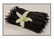 Vanilla Beans