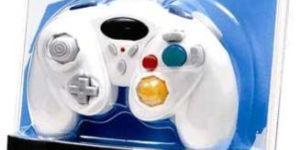 Wii and Gamecube Control Pad