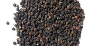 Black Pepper Seeds