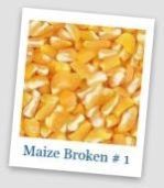 Broken Maize