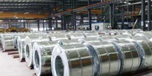 Stainless Steel Strips