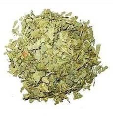 Eucalyptus Globulus Leaves