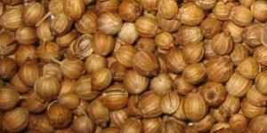 Coriander Seeds