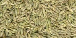 Cumin Seeds