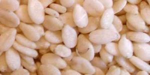 Sesame Seeds