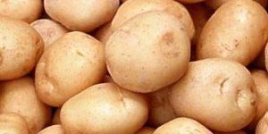 Fresh Potato