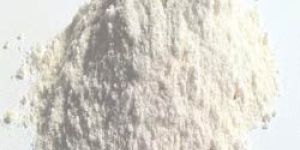 Diatomaceous Earth Powder