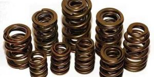 Pac Valve Springs