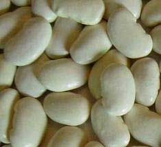 White Kidney Beans