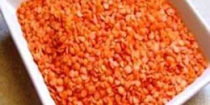 Whole Masoor Pulses