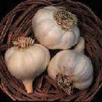 Fresh Garlic