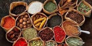 Kerala Spices