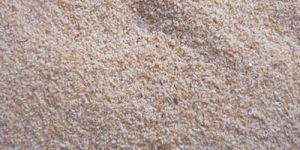 Dehydrated Garlic Granules