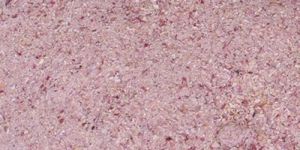 Dehydrated Red Onion Granules