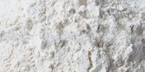 Dehydrated White Onion Powder